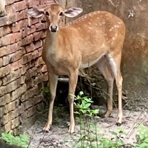 Meet your Posher, Alisha